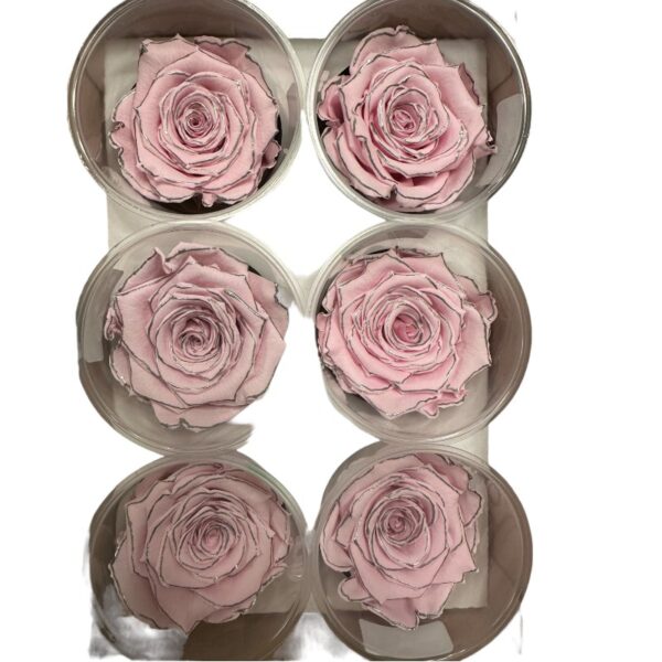 Preserved roses zebra pink/silver - Image 2