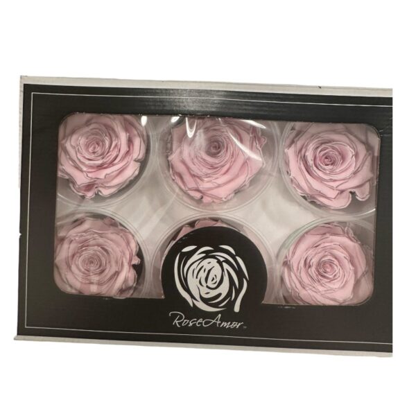 Preserved roses zebra pink/silver - Image 3