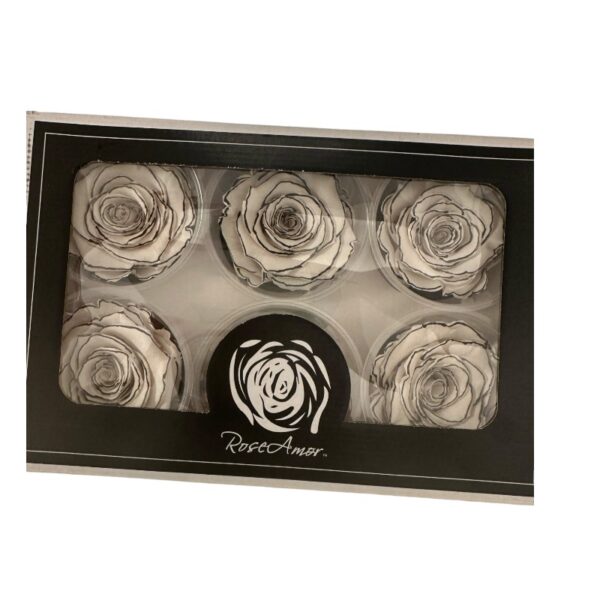 Preserved roses zebra white/black - Image 3