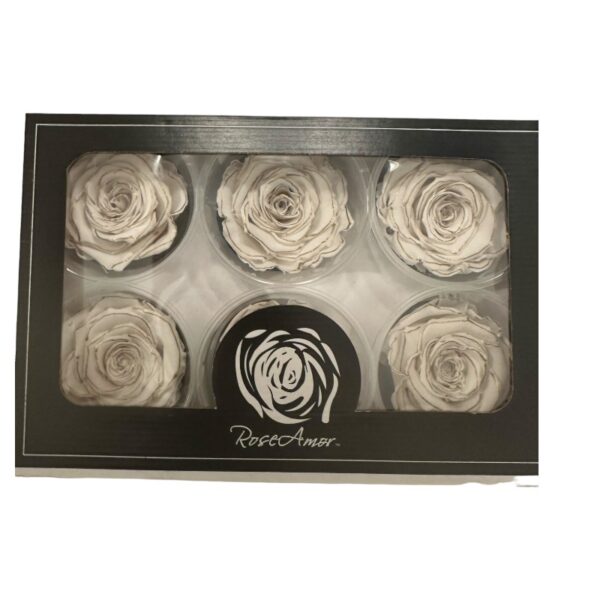 Preserved roses zebra white/gold - Image 3