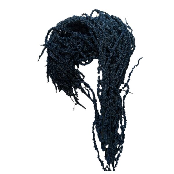 Preserved blue Amaranthus - Image 2