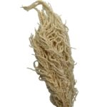 Preserved white Amaranthus