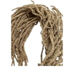 Preserved light brown Amaranthus