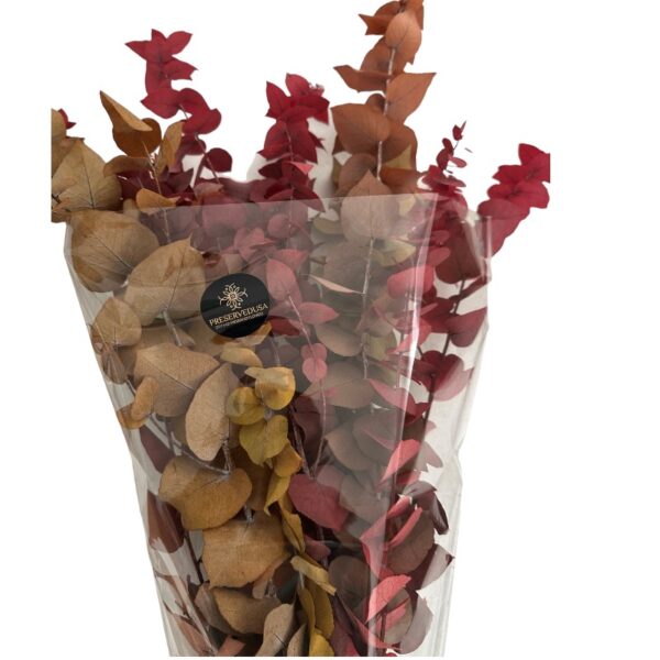 Autumn eucalyptus soft color - Image 3
