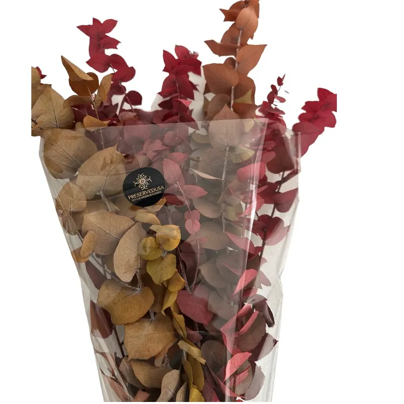 Autumn eucalyptus soft color - Image 3