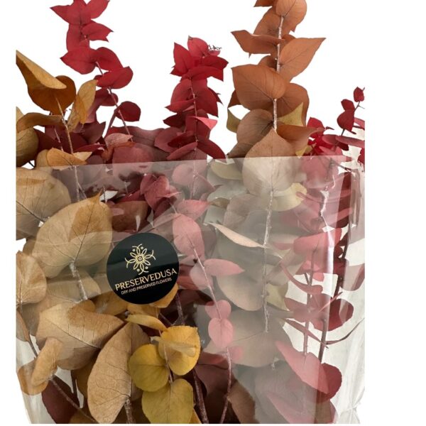 Autumn eucalyptus soft color