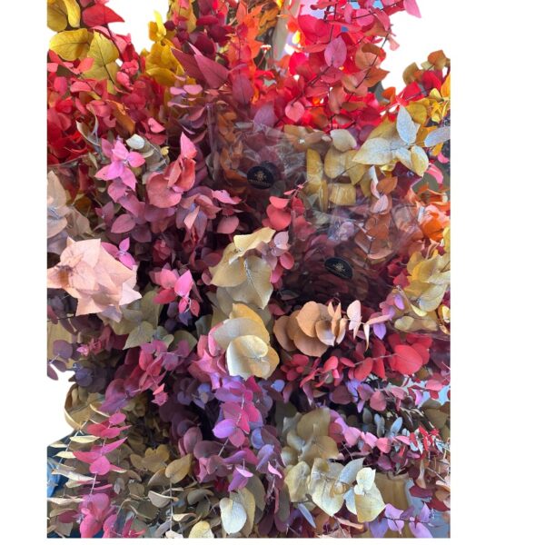 Autumn eucalyptus soft color - Image 2