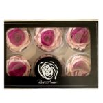Preserved roses BICOLOR - Image 3