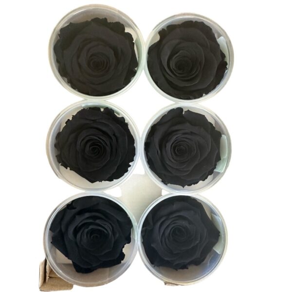 Preserved, box of 6 roses, LL+, black 01 - Image 2
