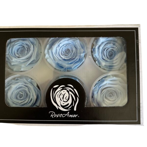 Preserved roses bright blue - Image 3