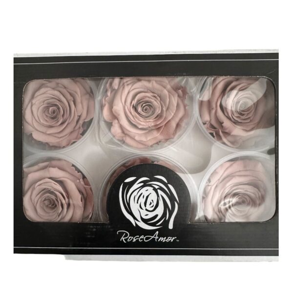 Preserved roses bright brown - Image 3