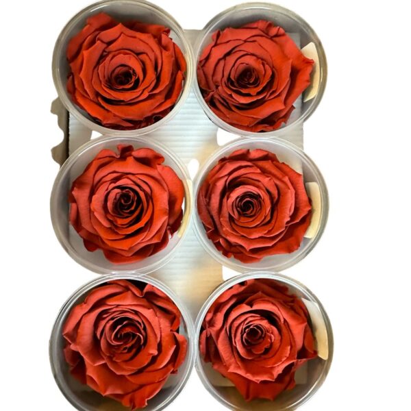 Preserved roses bright grape - Image 3
