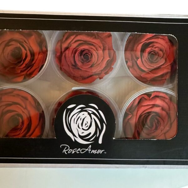 Preserved roses bright grape - Image 2