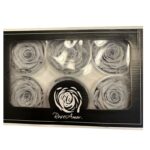 Preserved roses bright grey - Image 3