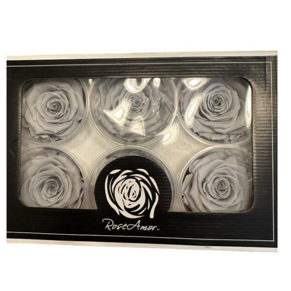 Preserved roses bright grey - Image 3