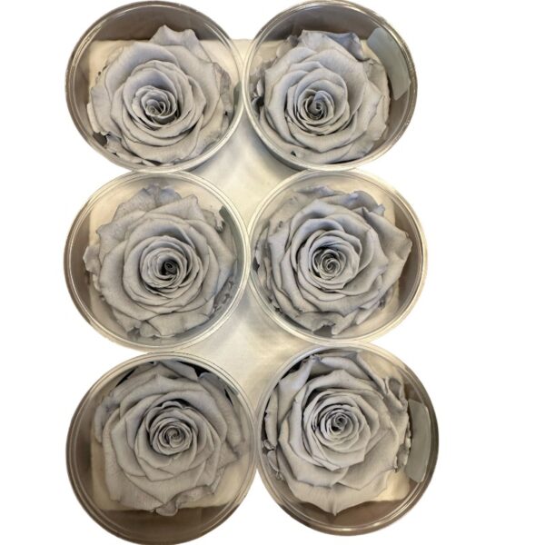 Preserved roses bright grey - Image 2