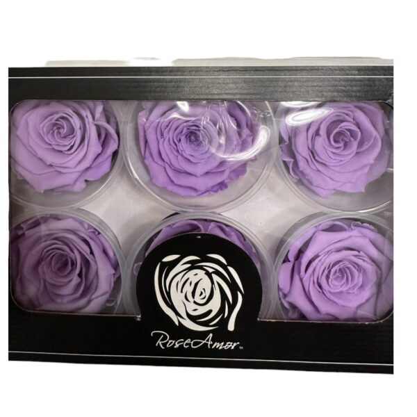 Preserved roses bright violet - Image 2