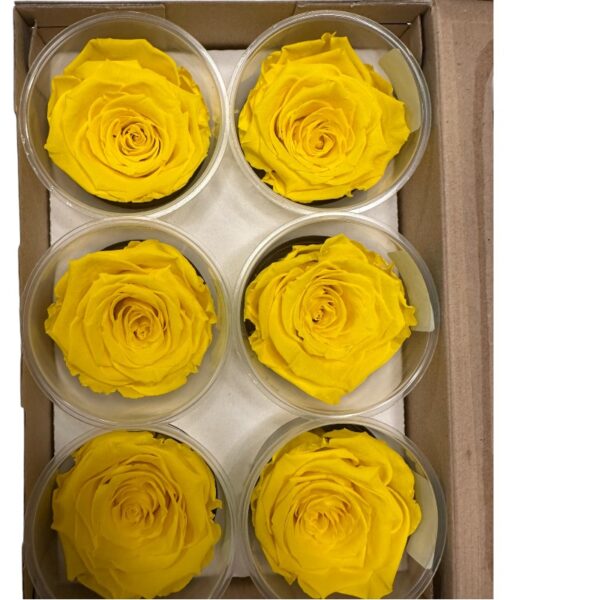 Preserved 6 roses yellow - Image 3
