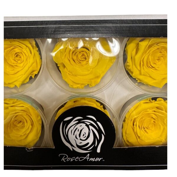 Preserved 6 roses yellow - Image 2