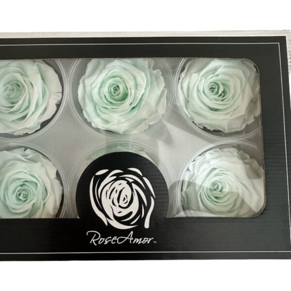 Preserved roses brighter green - Image 3