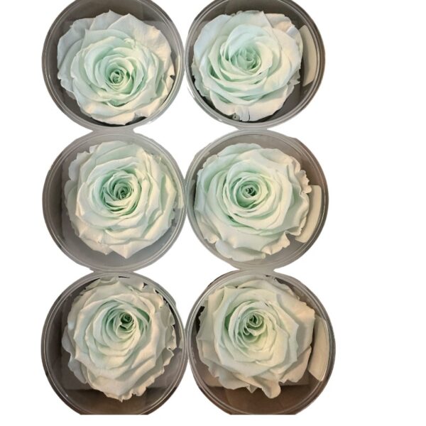Preserved roses brighter green - Image 2