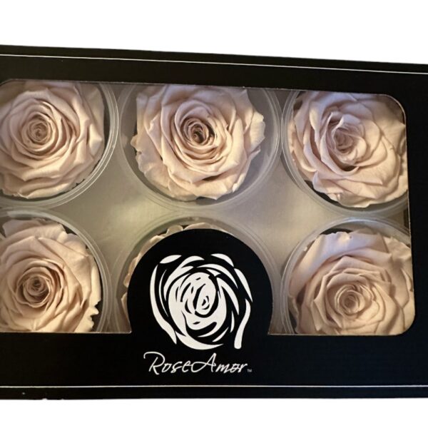 Preserved roses brighter pink - Image 2