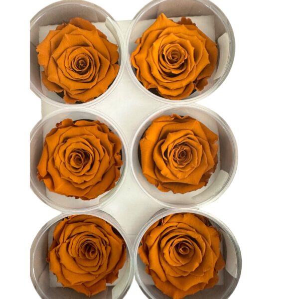 Preserved roses clay - Image 3