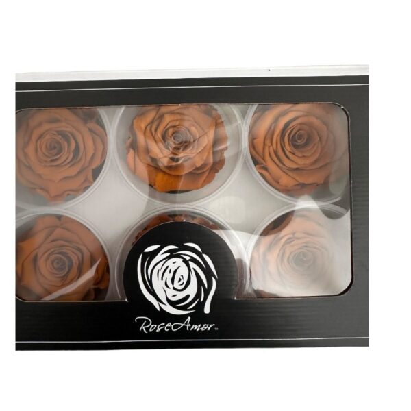 Preserved roses clay - Image 2