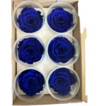 Preserved roses dark blue - Image 2