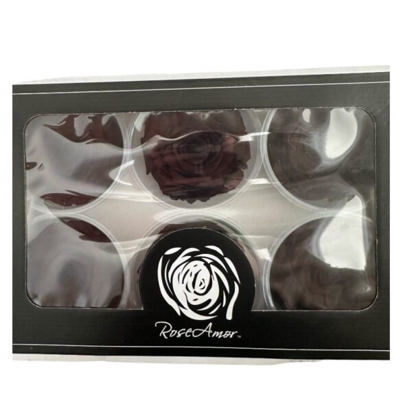 Preserved roses dark brown - Image 3