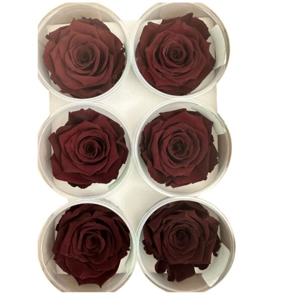 Preserved roses dark brown - Image 2