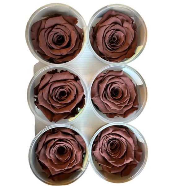 Preserved roses dark grape - Image 2