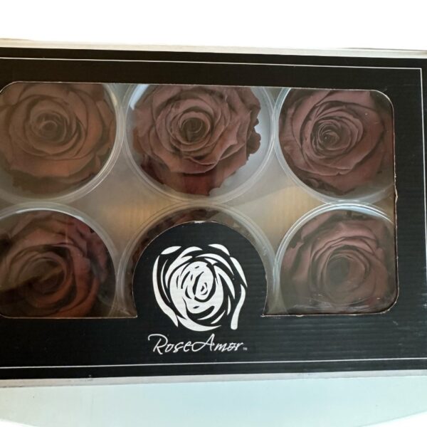 Preserved roses dark grape - Image 3