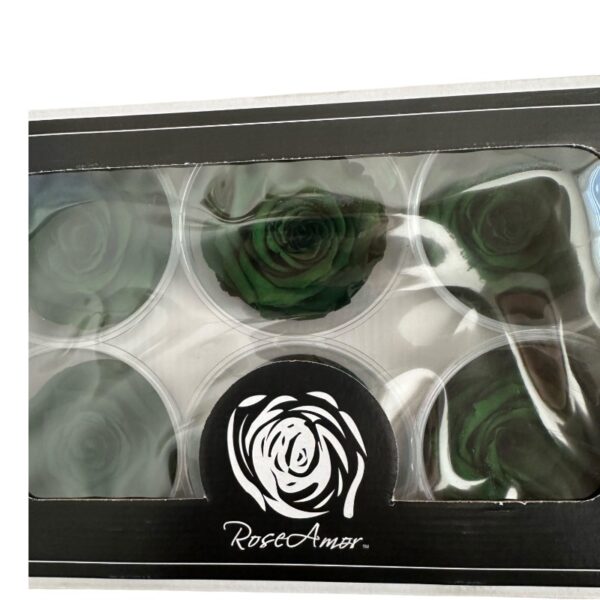 Preserved roses dark green - Image 3