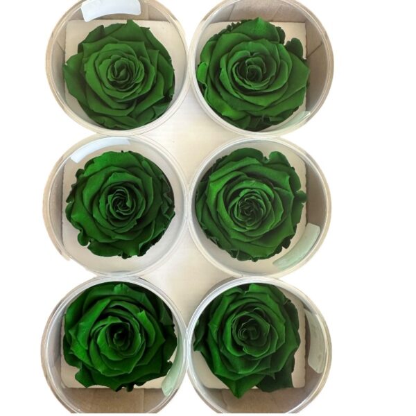 Preserved roses dark green - Image 2