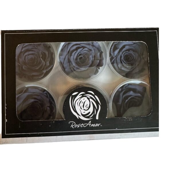 Preserved roses dark grey - Image 3
