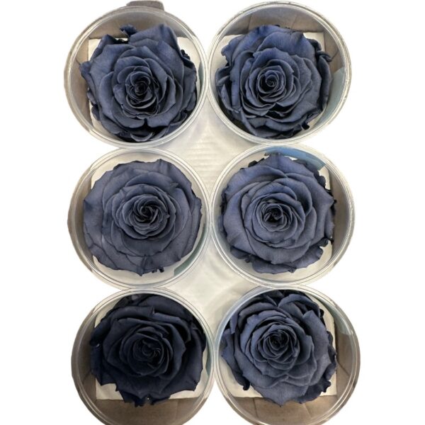 Preserved roses dark grey - Image 2