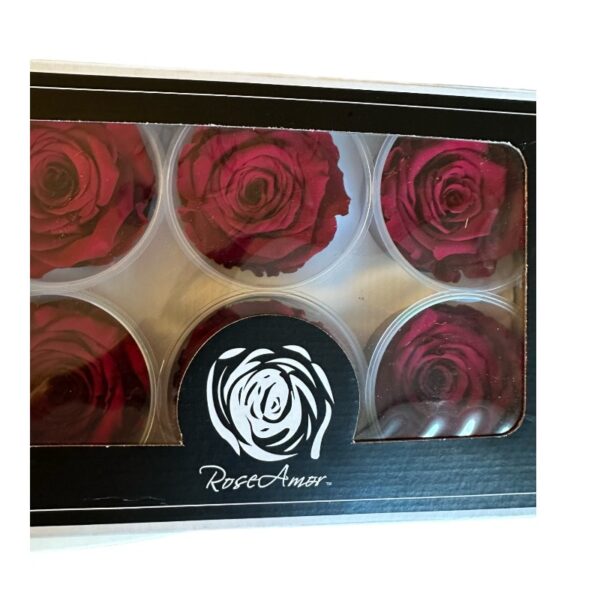 Preserved roses dark pink - Image 3
