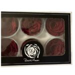 Preserved roses dark red - Image 2