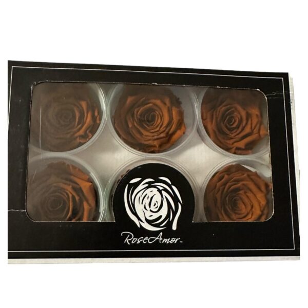 Preserved roses dark toffee - Image 3
