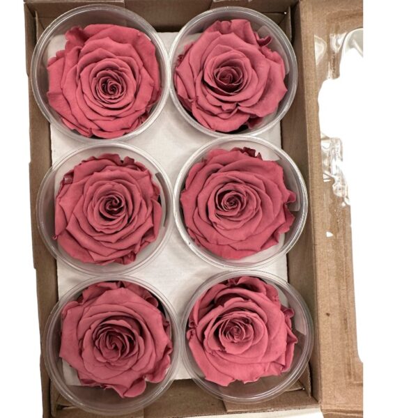Preserved roses dark violet - Image 3