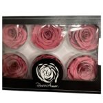 Preserved roses dark violet - Image 2