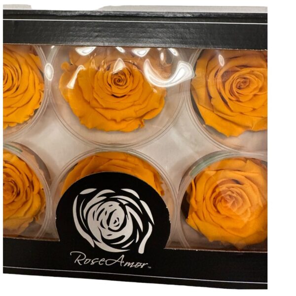 Preserved dark yellow roses - Image 3