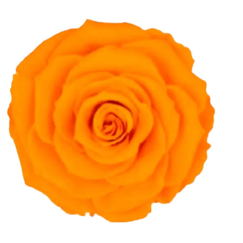 Preserved dark yellow roses from Roseamor