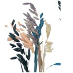 Dry mix color chasmatium - Image 2