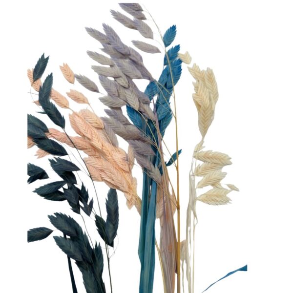 Dry mix color chasmatium
