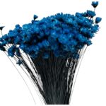 Dry dark blue Mini Glixia