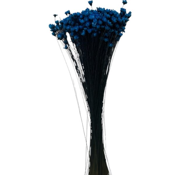 Dry dark blue Mini Glixia - Image 2