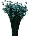 Dry light blue Mini Glixia