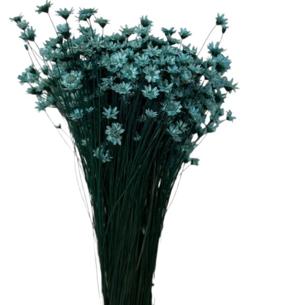Dry light blue Mini Glixia